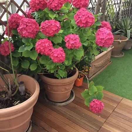 Apartamento Paris 2024 Exceptional With Rooftop *
